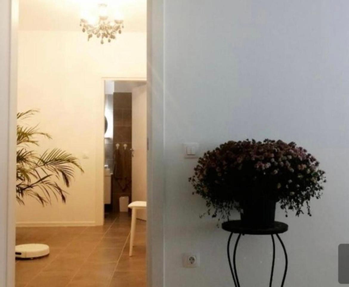 Atria Urban Resort بوخارست المظهر الخارجي الصورة